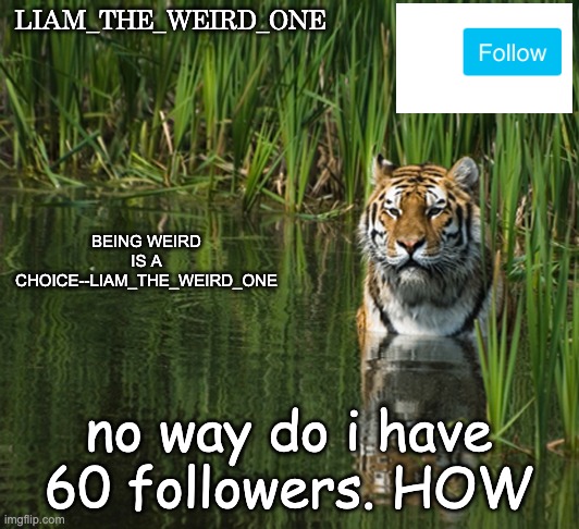 metryingtobenormalitdon'tworktrustme60followershowtellmenow | LIAM_THE_WEIRD_ONE; BEING WEIRD IS A CHOICE--LIAM_THE_WEIRD_ONE; no way do i have 60 followers. HOW | image tagged in 60 followers,followers,no way | made w/ Imgflip meme maker