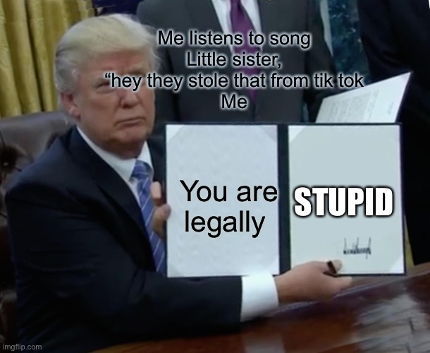 Trump Bill Signing Meme | Me listens to song
Little sister, “hey they stole that from tik tok
Me; You are legally; STUPID | image tagged in memes,trump bill signing | made w/ Imgflip meme maker