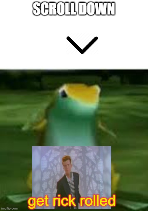 scroll down | SCROLL DOWN; get rick rolled | image tagged in rick | made w/ Imgflip meme maker