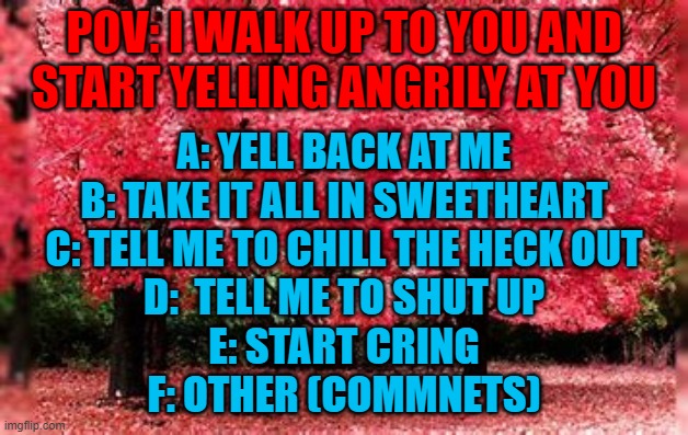 POV: I WALK UP TO YOU AND START YELLING ANGRILY AT YOU; A: YELL BACK AT ME
B: TAKE IT ALL IN SWEETHEART
C: TELL ME TO CHILL THE HECK OUT
D:  TELL ME TO SHUT UP
E: START CRING
F: OTHER (COMMNETS) | made w/ Imgflip meme maker