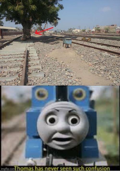 Tree on the train track | image tagged in thomas has never seen such confusion,memes,you had one job,tree,meme,fails | made w/ Imgflip meme maker