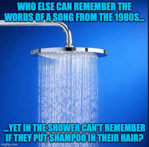 Shower Thoughts. . . | WHO ELSE CAN REMEMBER THE WORDS OF A SONG FROM THE 1980S... ...YET IN THE SHOWER CAN'T REMEMBER IF THEY PUT SHAMPOO IN THEIR HAIR? | image tagged in shower thoughts | made w/ Imgflip meme maker