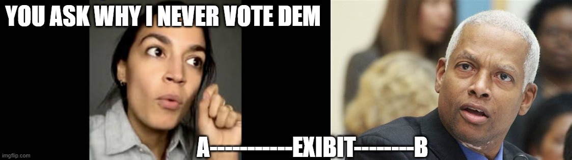 DEMS | YOU ASK WHY I NEVER VOTE DEM; A-----------EXIBIT--------B | image tagged in never gonna let you down | made w/ Imgflip meme maker