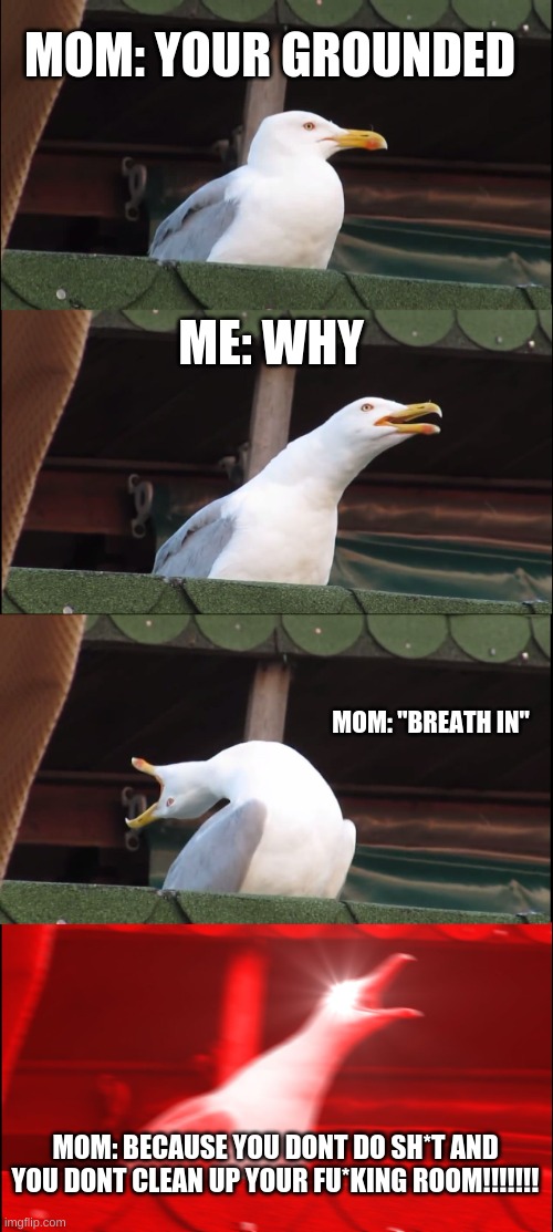 Inhaling Seagull Meme | MOM: YOUR GROUNDED; ME: WHY; MOM: "BREATH IN"; MOM: BECAUSE YOU DONT DO SH*T AND YOU DONT CLEAN UP YOUR FU*KING ROOM!!!!!!! | image tagged in memes,inhaling seagull | made w/ Imgflip meme maker