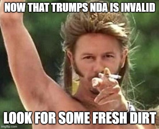 Trump wouldnt know free speech if it slapped him with a libel suit | NOW THAT TRUMPS NDA IS INVALID; LOOK FOR SOME FRESH DIRT | image tagged in joe dirt,memes,politics,trump is a liar,nda | made w/ Imgflip meme maker