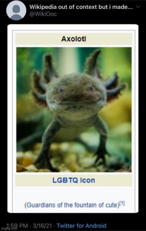 My NB friend sent this to me and it makes sense | image tagged in lgbt,lgbtq,axolotl,memes | made w/ Imgflip meme maker
