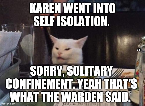 Salad cat | KAREN WENT INTO SELF ISOLATION. J M; SORRY, SOLITARY CONFINEMENT. YEAH THAT'S WHAT THE WARDEN SAID. | image tagged in salad cat | made w/ Imgflip meme maker