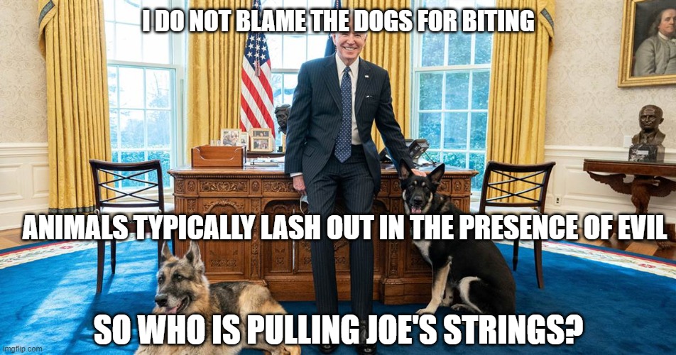 biting dogs | I DO NOT BLAME THE DOGS FOR BITING; ANIMALS TYPICALLY LASH OUT IN THE PRESENCE OF EVIL; SO WHO IS PULLING JOE'S STRINGS? | image tagged in dogs,biting dogs | made w/ Imgflip meme maker