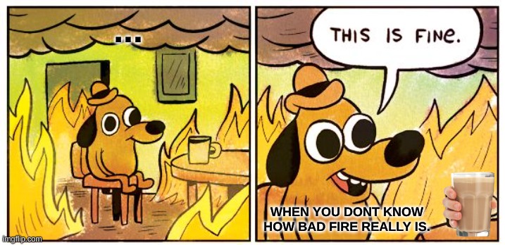 This Is Fine Meme | ... WHEN YOU DONT KNOW HOW BAD FIRE REALLY IS. | image tagged in memes,this is fine | made w/ Imgflip meme maker