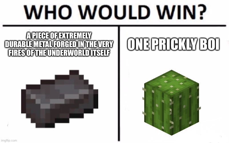 Who Would Win? Meme | A PIECE OF EXTREMELY DURABLE METAL FORGED IN THE VERY FIRES OF THE UNDERWORLD ITSELF; ONE PRICKLY BOI | image tagged in memes,who would win,big bird will kill your family of rocks | made w/ Imgflip meme maker