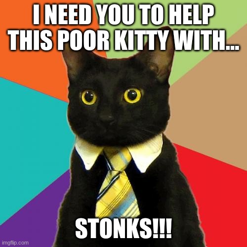 stonks | I NEED YOU TO HELP THIS POOR KITTY WITH... STONKS!!! | image tagged in memes,business cat | made w/ Imgflip meme maker