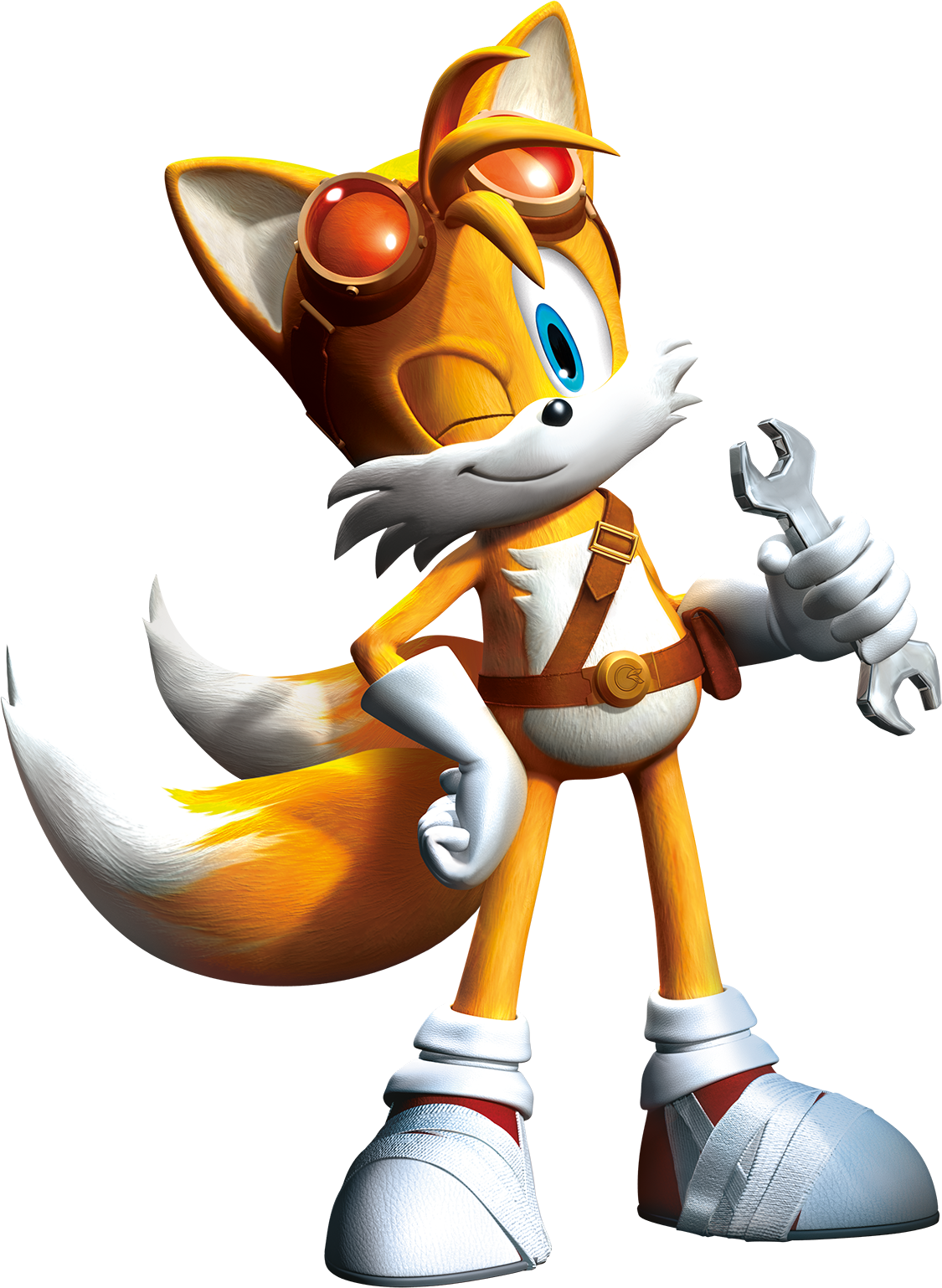 High Quality tails Blank Meme Template
