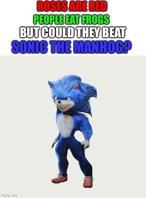 Sonic the Manhog | ROSES ARE RED; PEOPLE EAT FROGS; SONIC THE MANHOG? BUT COULD THEY BEAT | image tagged in memes,blank transparent square | made w/ Imgflip meme maker