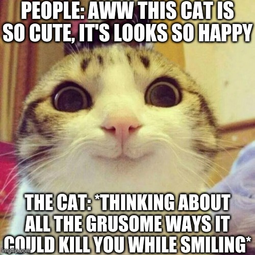 Cat | PEOPLE: AWW THIS CAT IS SO CUTE, IT'S LOOKS SO HAPPY; THE CAT: *THINKING ABOUT ALL THE GRUSOME WAYS IT COULD KILL YOU WHILE SMILING* | image tagged in memes,smiling cat | made w/ Imgflip meme maker