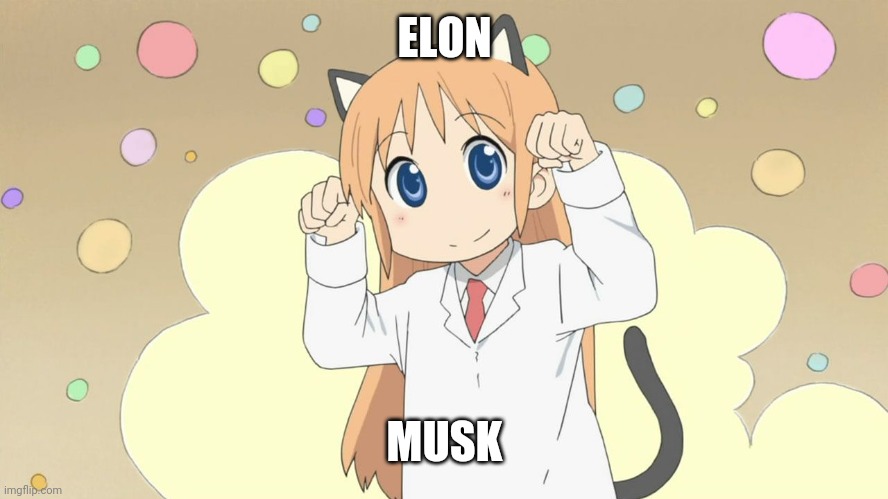 hakase da nya catgirl anime | ELON; MUSK | image tagged in hakase da nya catgirl anime | made w/ Imgflip meme maker