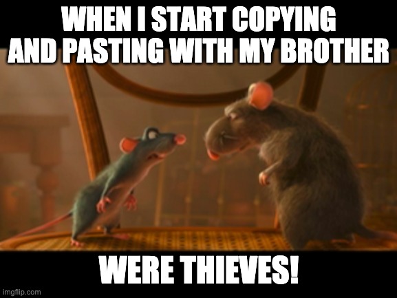 Thef | WHEN I START COPYING AND PASTING WITH MY BROTHER; WERE THIEVES! | image tagged in rats | made w/ Imgflip meme maker