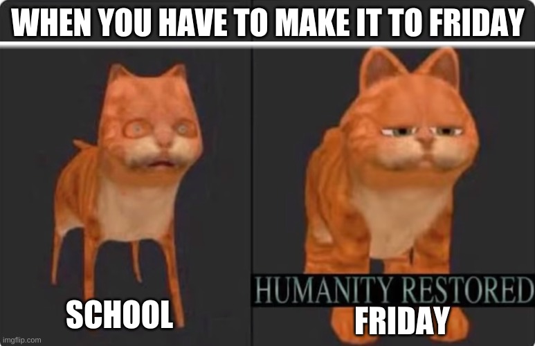 True | WHEN YOU HAVE TO MAKE IT TO FRIDAY; SCHOOL; FRIDAY | image tagged in humanity restored,lol,the meme maker,i c the point,yeet,cheese | made w/ Imgflip meme maker