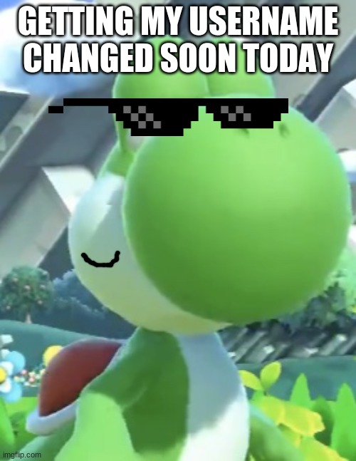 Time To Change My Username(soon) | GETTING MY USERNAME CHANGED SOON TODAY | image tagged in yoshi s not interested,changing my username | made w/ Imgflip meme maker