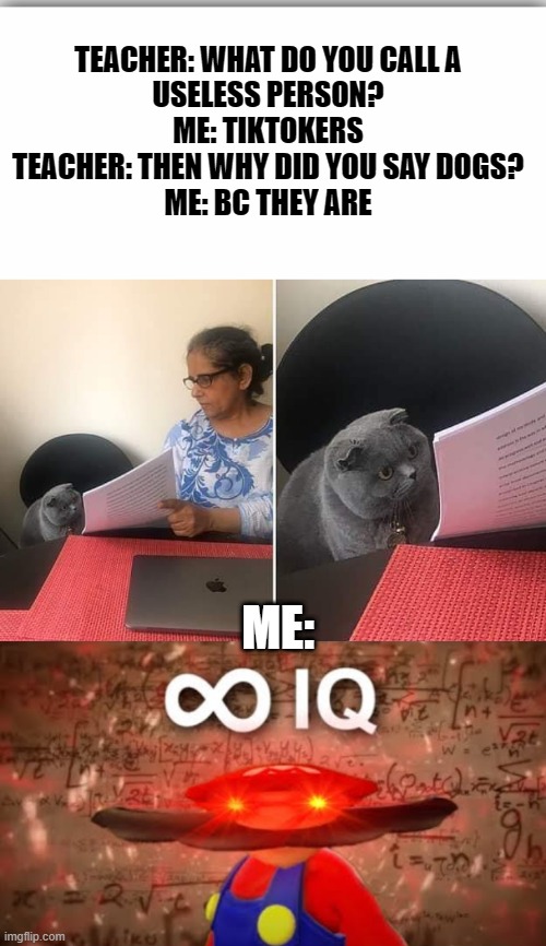 TEACHER: WHAT DO YOU CALL A USELESS PERSON?
ME: TIKTOKERS
TEACHER: THEN WHY DID YOU SAY DOGS?
ME: BC THEY ARE; ME: | image tagged in woman showing paper to cat | made w/ Imgflip meme maker