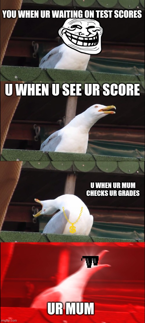 look its a bird. | YOU WHEN UR WAITING ON TEST SCORES; U WHEN U SEE UR SCORE; U WHEN UR MUM CHECKS UR GRADES; UR MUM | image tagged in memes,inhaling seagull | made w/ Imgflip meme maker