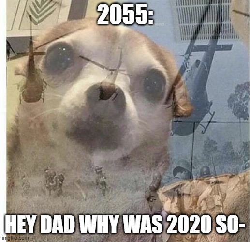 flashback doggy | 2055:; HEY DAD WHY WAS 2020 SO- | image tagged in flashback doggy | made w/ Imgflip meme maker