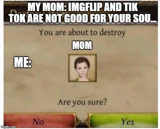 she says it she said she is not a karen | MY MOM: IMGFLIP AND TIK TOK ARE NOT GOOD FOR YOUR SOU... MOM; ME: | image tagged in you are about to destroy child | made w/ Imgflip meme maker