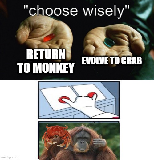 return to crab, evolve to monkey (big brain moment) | "choose wisely"; RETURN TO MONKEY; EVOLVE TO CRAB | image tagged in red pill blue pill,return to monkey,evolve to crab | made w/ Imgflip meme maker