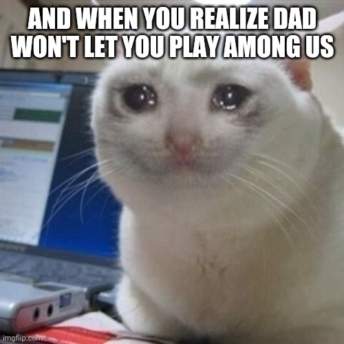 Crying cat | AND WHEN YOU REALIZE DAD WON'T LET YOU PLAY AMONG US | image tagged in crying cat | made w/ Imgflip meme maker