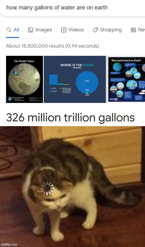 What? | image tagged in loading cat,confused | made w/ Imgflip meme maker