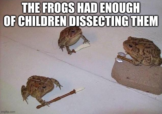 they will strike at dawn | THE FROGS HAD ENOUGH OF CHILDREN DISSECTING THEM | image tagged in memes,frogs,bruh | made w/ Imgflip meme maker