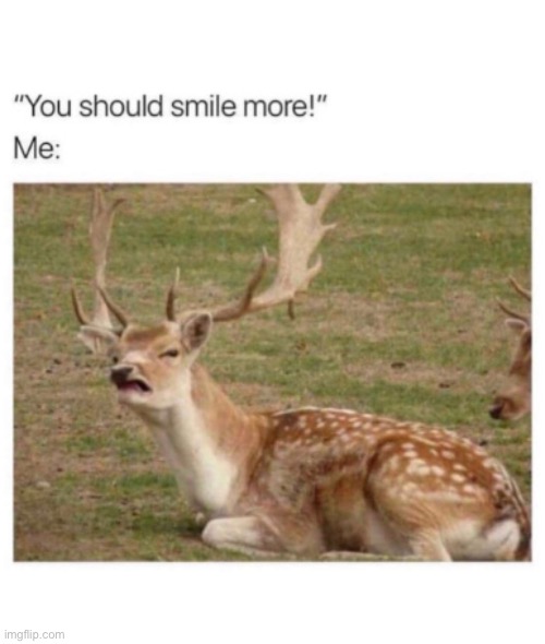 Just no | image tagged in no smile,no emotion | made w/ Imgflip meme maker