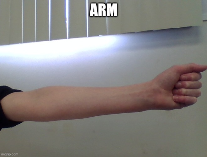 ARM | made w/ Imgflip meme maker