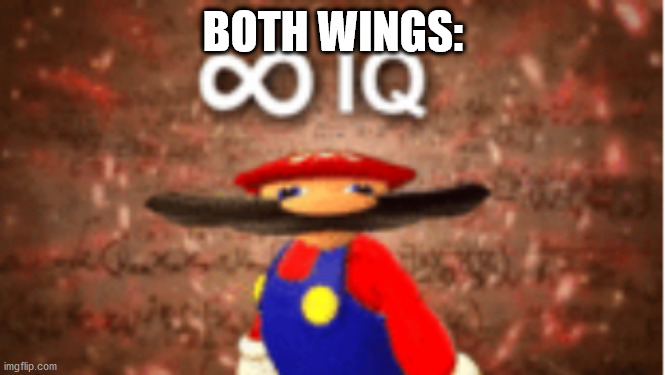 Infinite IQ | BOTH WINGS: | image tagged in infinite iq | made w/ Imgflip meme maker