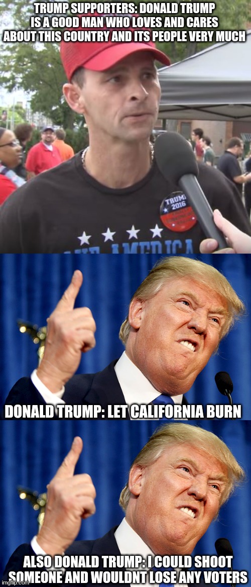 theres more | TRUMP SUPPORTERS: DONALD TRUMP IS A GOOD MAN WHO LOVES AND CARES ABOUT THIS COUNTRY AND ITS PEOPLE VERY MUCH; DONALD TRUMP: LET CALIFORNIA BURN; ALSO DONALD TRUMP: I COULD SHOOT SOMEONE AND WOULDN'T LOSE ANY VOTERS | image tagged in trump supporter,donald trump | made w/ Imgflip meme maker