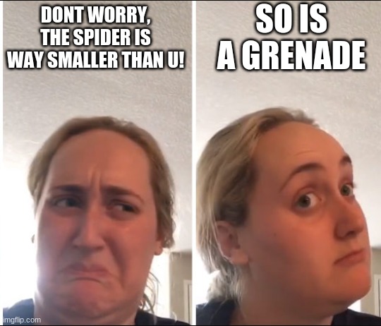 Kombucha Girl | SO IS A GRENADE; DONT WORRY, THE SPIDER IS WAY SMALLER THAN U! | image tagged in kombucha girl | made w/ Imgflip meme maker