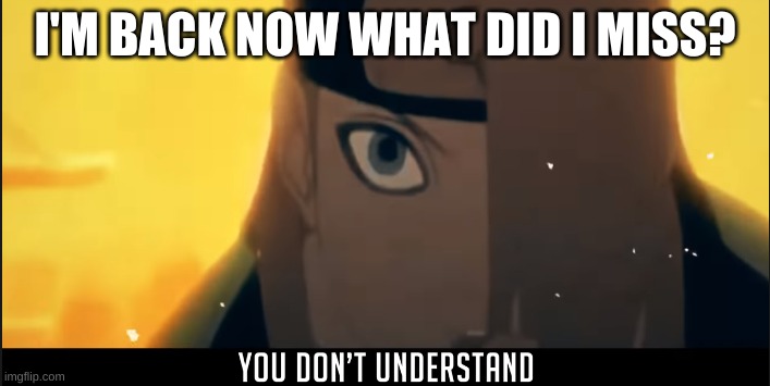 Deidara you don't understand | I'M BACK NOW WHAT DID I MISS? | image tagged in deidara you don't understand | made w/ Imgflip meme maker