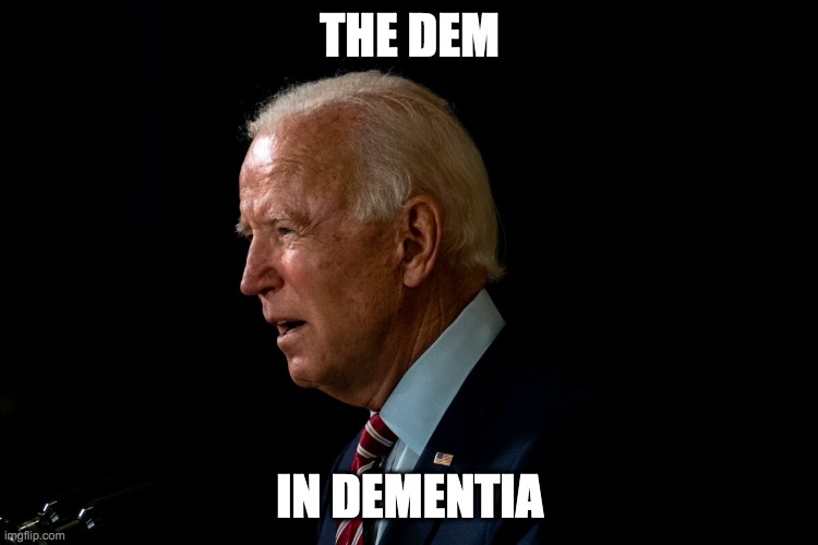 Dem in dementia | THE DEM; IN DEMENTIA | image tagged in dementia,joe biden | made w/ Imgflip meme maker