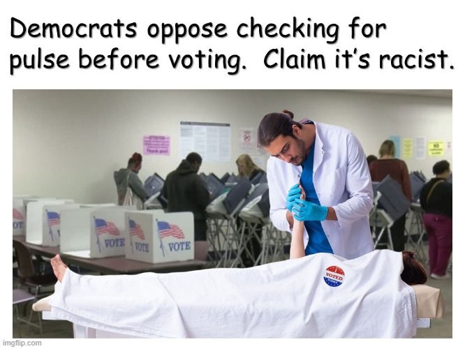 Dead Allowed to Vote | image tagged in democrats,liberals,dead voters,racism,illegal voters | made w/ Imgflip meme maker