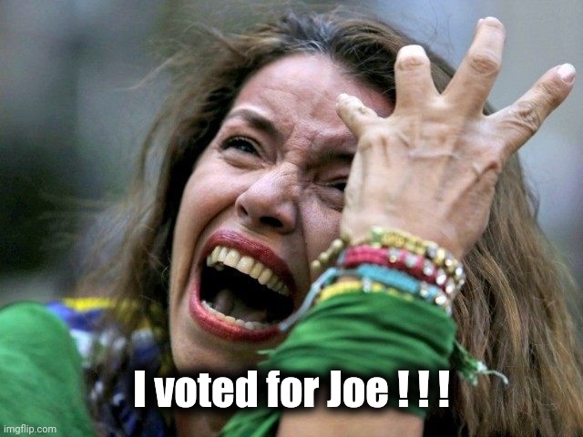Hysterical Holly | I voted for Joe ! ! ! | image tagged in hysterical holly | made w/ Imgflip meme maker