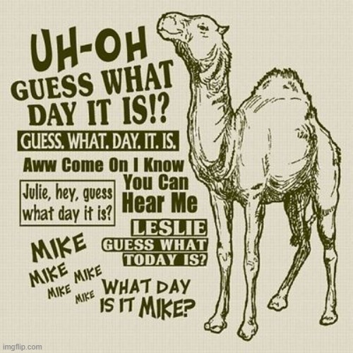 Happy Hump Day | image tagged in happy hump day | made w/ Imgflip meme maker