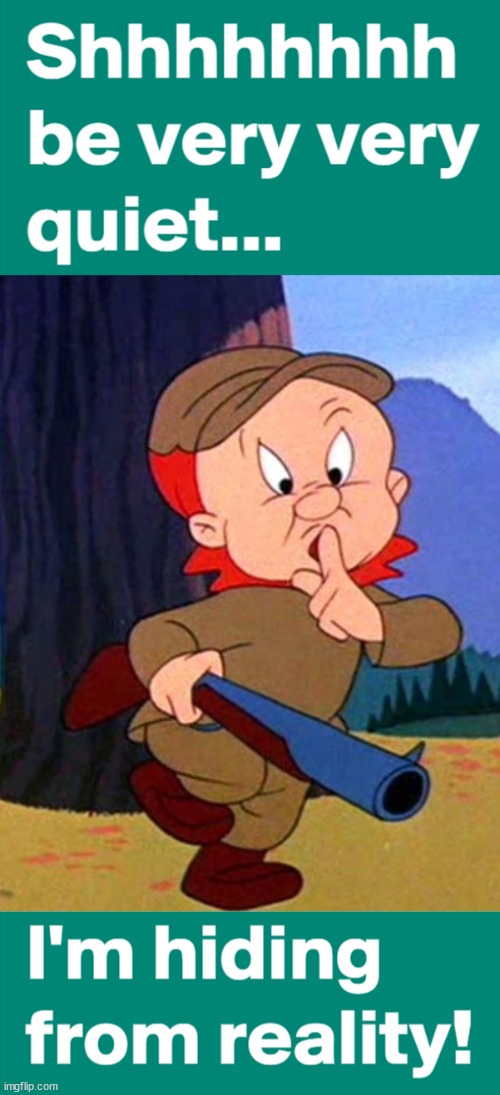 image tagged in elmer fudd | made w/ Imgflip meme maker