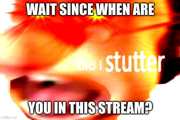 did i stutter | WAIT SINCE WHEN ARE YOU IN THIS STREAM? | image tagged in did i stutter | made w/ Imgflip meme maker