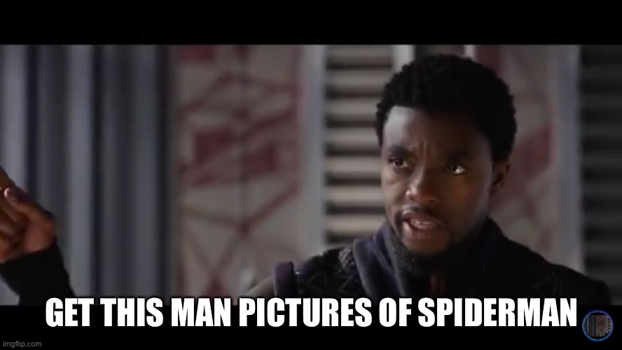 Black Panther - Get this man a shield | GET THIS MAN PICTURES OF SPIDERMAN | image tagged in black panther - get this man a shield | made w/ Imgflip meme maker