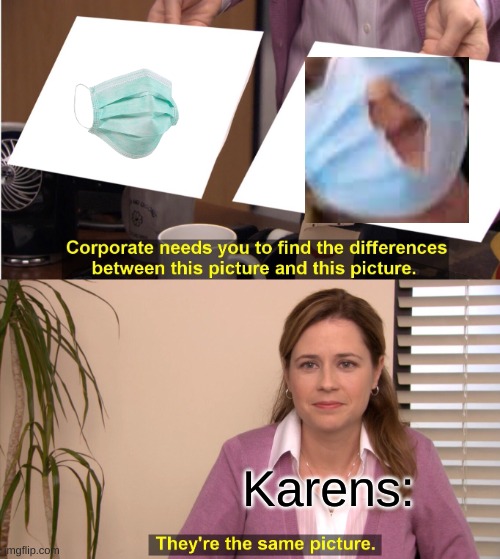 wow karen | Karens: | image tagged in memes,they're the same picture | made w/ Imgflip meme maker