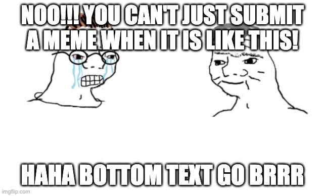 haha brrrrrrr | NOO!!! YOU CAN'T JUST SUBMIT A MEME WHEN IT IS LIKE THIS! HAHA BOTTOM TEXT GO BRRR | image tagged in haha brrrrrrr | made w/ Imgflip meme maker