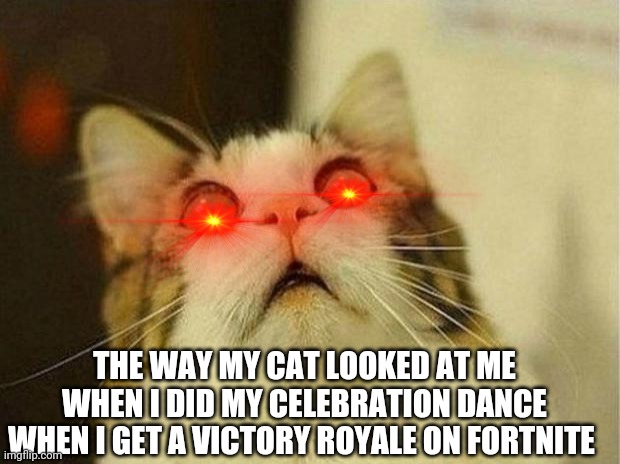 VICTORY dance cat | THE WAY MY CAT LOOKED AT ME WHEN I DID MY CELEBRATION DANCE WHEN I GET A VICTORY ROYALE ON FORTNITE | image tagged in memes,scared cat | made w/ Imgflip meme maker
