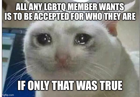 :( | ALL ANY LGBTQ MEMBER WANTS IS TO BE ACCEPTED FOR WHO THEY ARE; IF ONLY THAT WAS TRUE | image tagged in crying cat,lgbtq | made w/ Imgflip meme maker