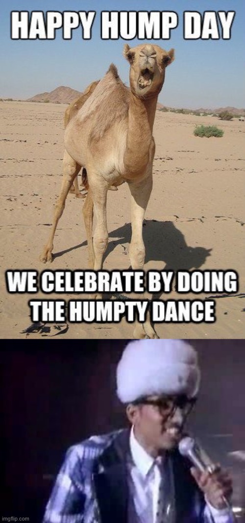 The Humpty Dance is your chance to do the hump! | image tagged in happy hump day humpty dance,the humpty dance,dance,happy hump day,music video,hump day camel | made w/ Imgflip meme maker