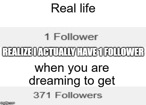 followers meme | Real life; REALIZE I ACTUALLY HAVE 1 FOLLOWER; when you are dreaming to get | image tagged in followers,funny memes | made w/ Imgflip meme maker