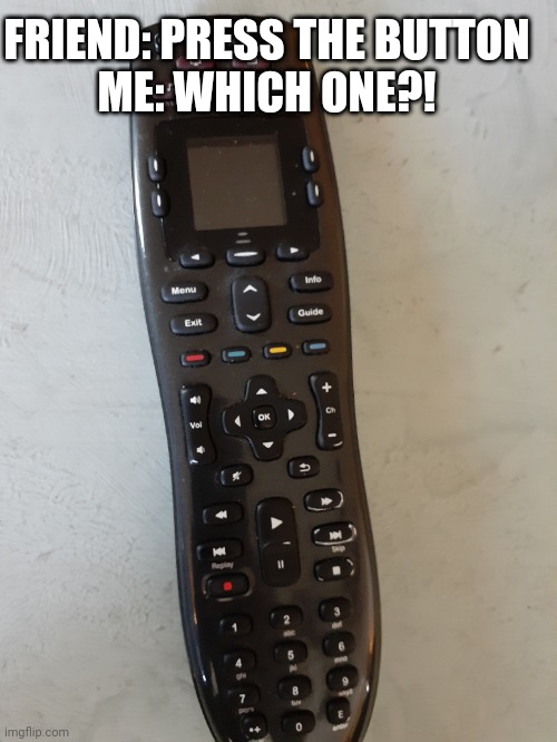 Remote trouble | FRIEND: PRESS THE BUTTON
ME: WHICH ONE?! | image tagged in funny,fun,remote,button | made w/ Imgflip meme maker